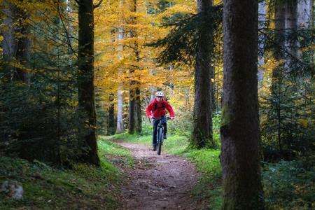 Gorsko kolesarjenje, Jošt Gantar